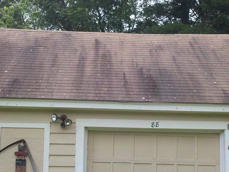Roof Cleaning Before After
